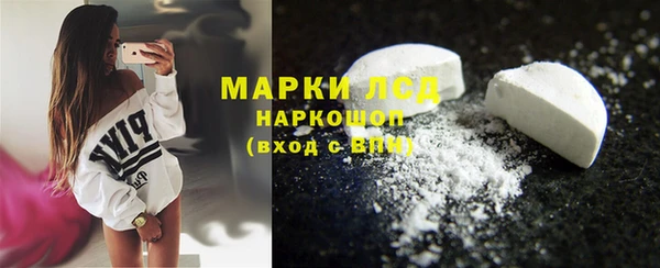 прущие грибы Армянск