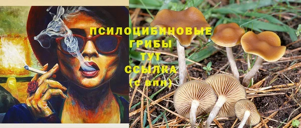 гидра Арсеньев