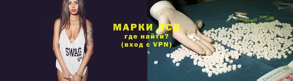 гидра Аркадак