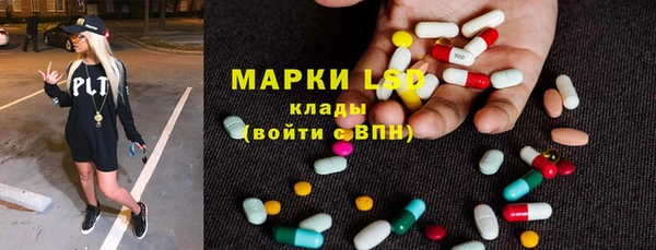 гидра Арсеньев
