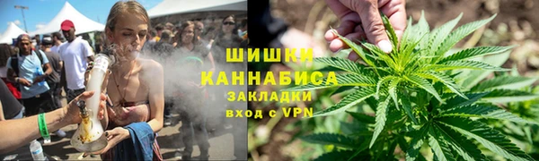 гидра Арсеньев