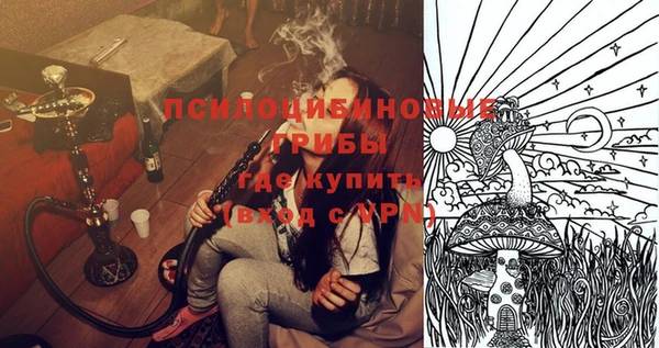 гидра Аркадак