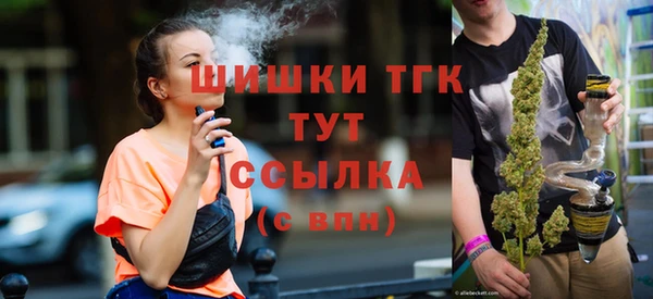 гидра Аркадак